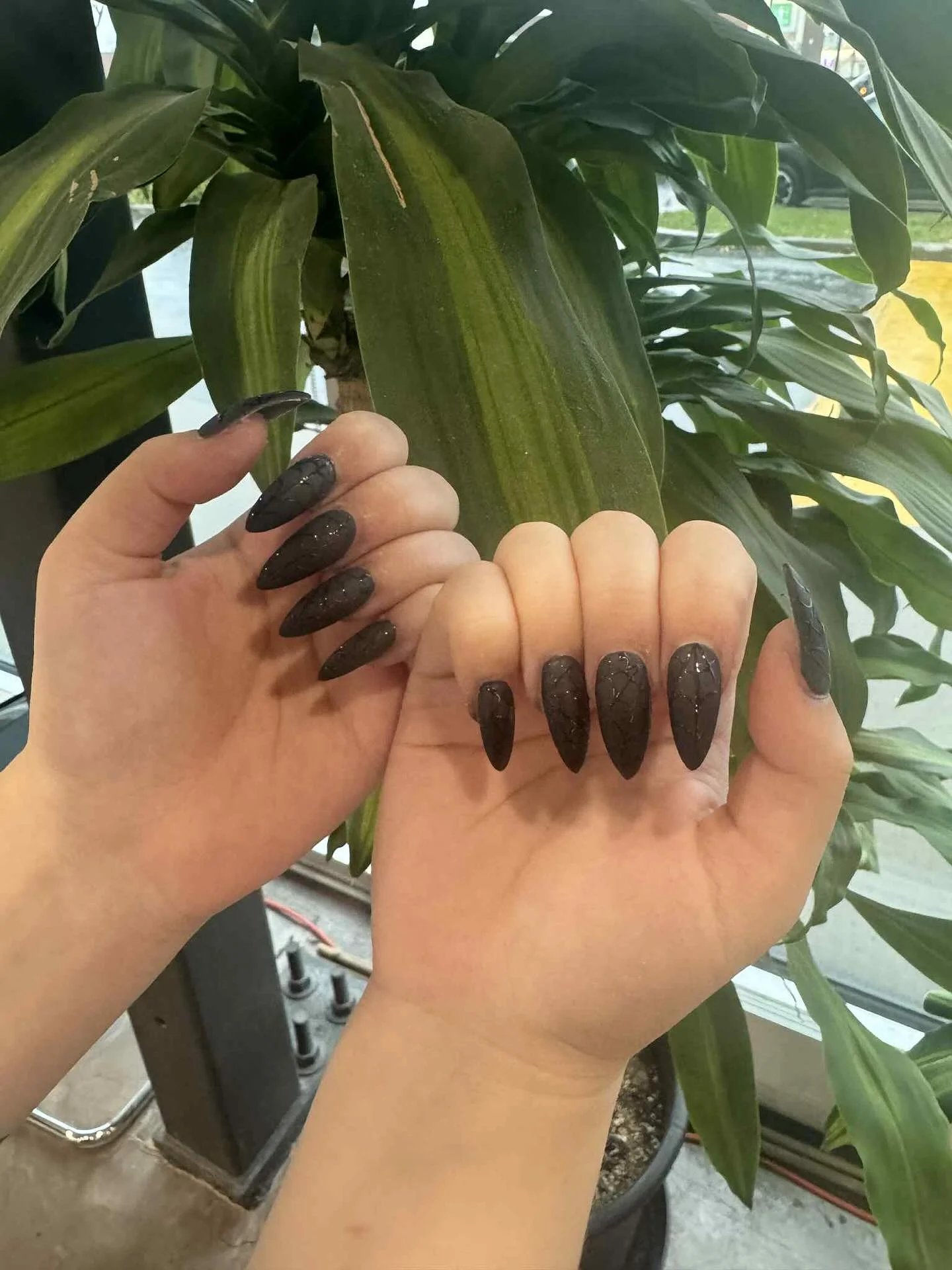 Finition mate sur ongles bruns